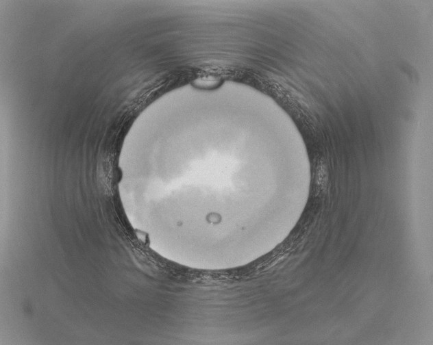 X0000114670868200912021051