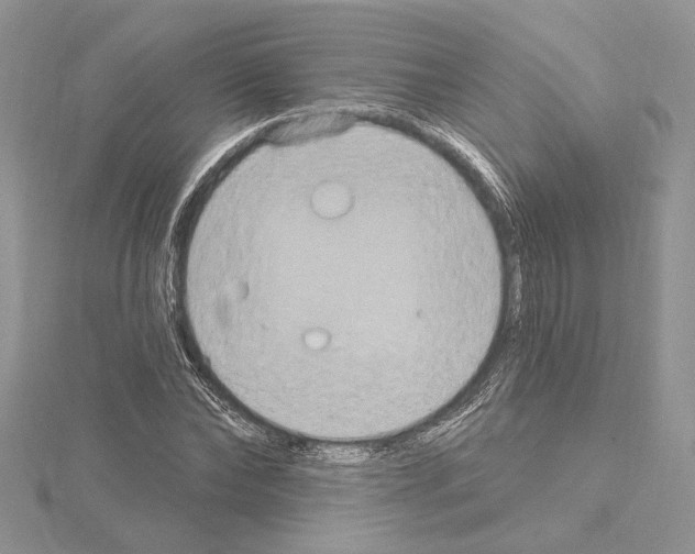 X0000114670878200912021051