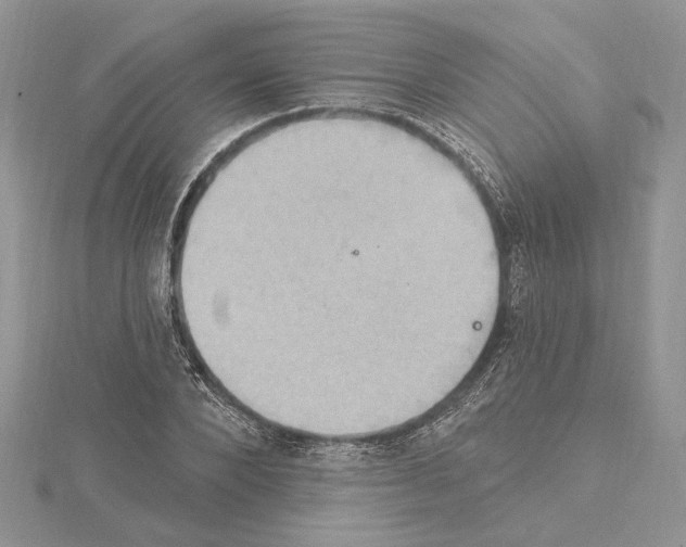 X0000114670880200912021051