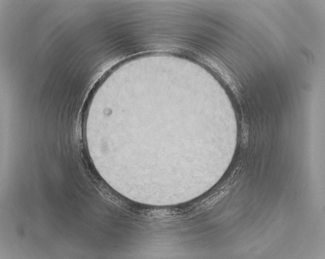 X0000114670883200912021051