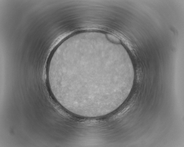 X0000114670885200912021051