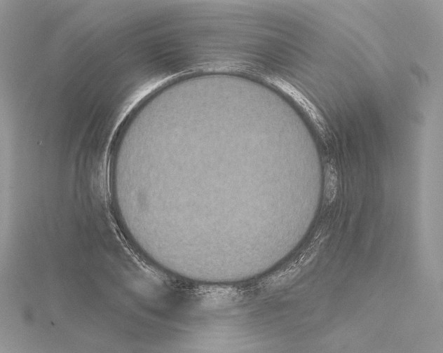 X0000114670886200912021051