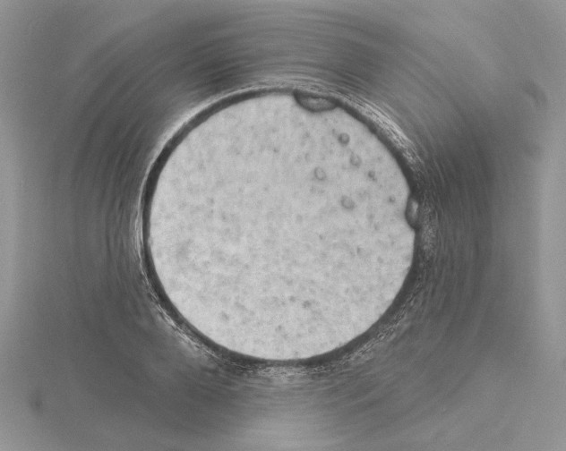 X0000114670888200912021051