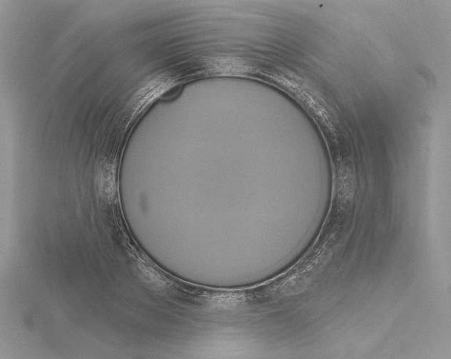 X0000114670889200912021051