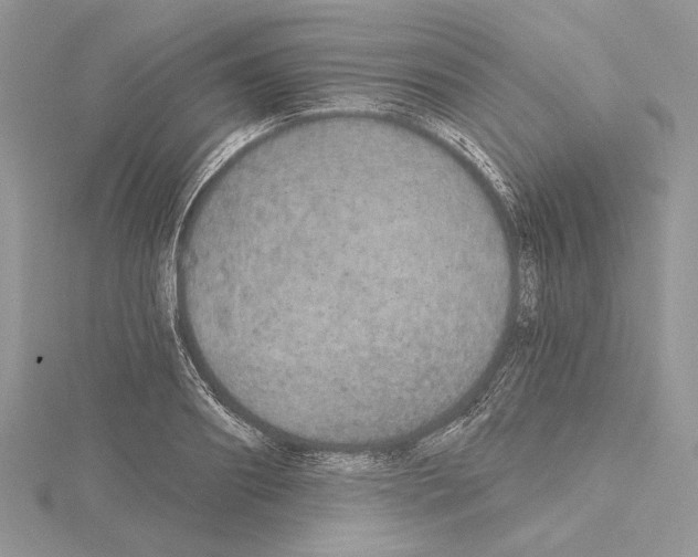 X0000114670890200912021051