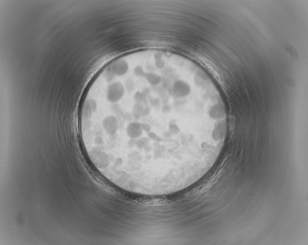 X0000114670891200912021051