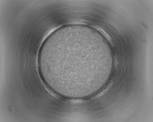 X0000114670893200912021051