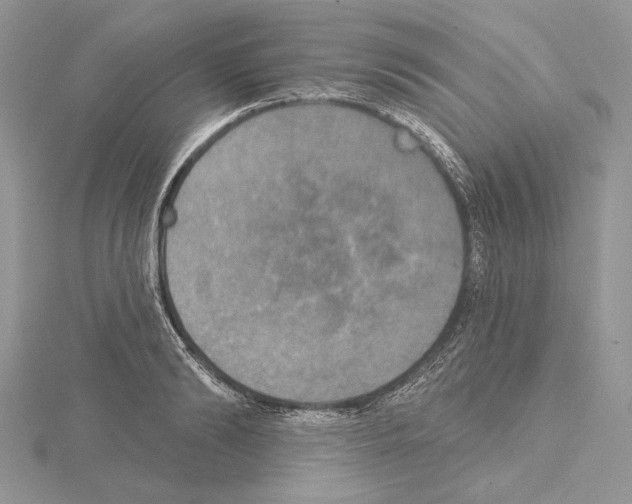 X0000114670894200912021051