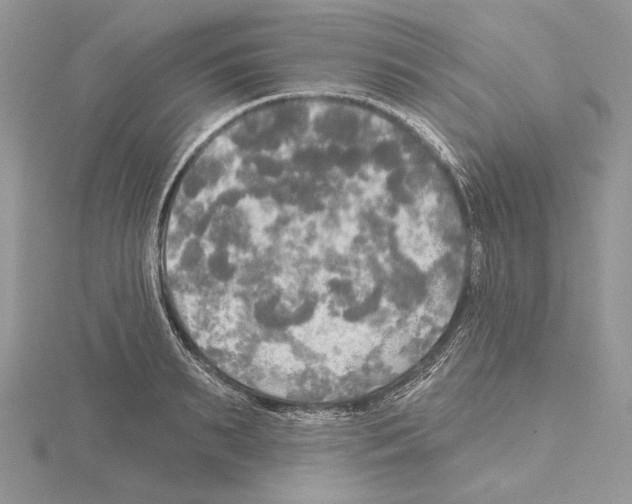 X0000114670895200912021051