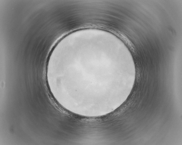 X0000114670896200912021051