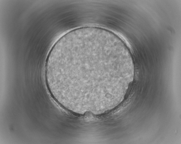 X0000114670903200912021051