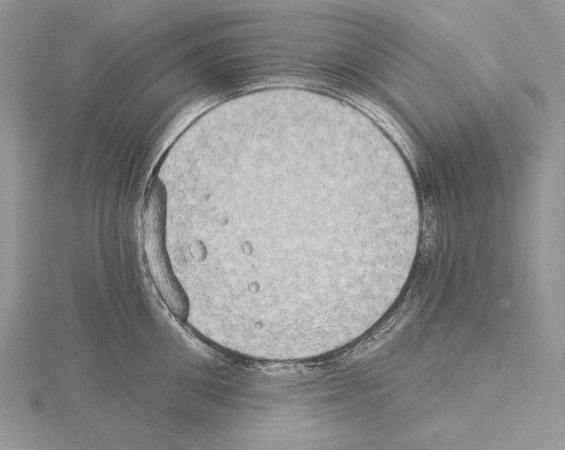 X0000114670906200912021051