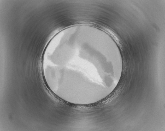 X0000114670907200912021051