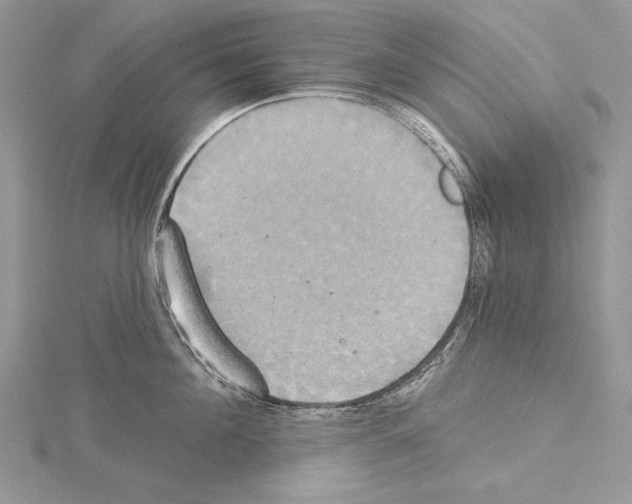 X0000114670908200912021051