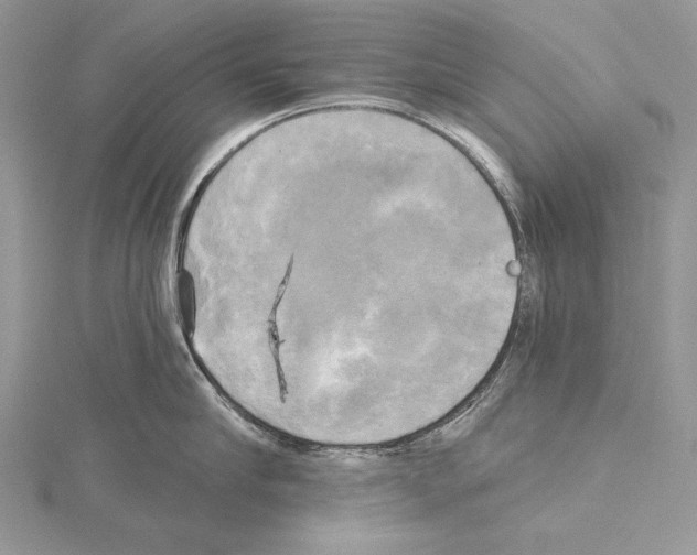 X0000114670910200912021051