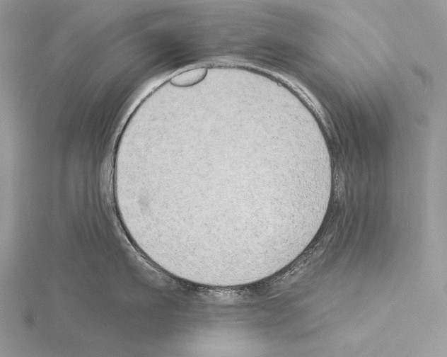 X0000114670911200912021051