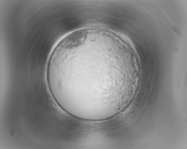 X0000114670912200912021051