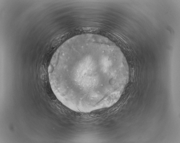 X0000114670917200912021050