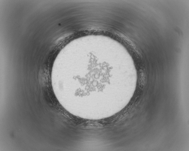 X0000114670918200912021050