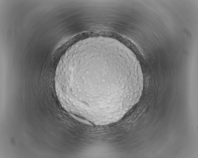 X0000114670919200912021050