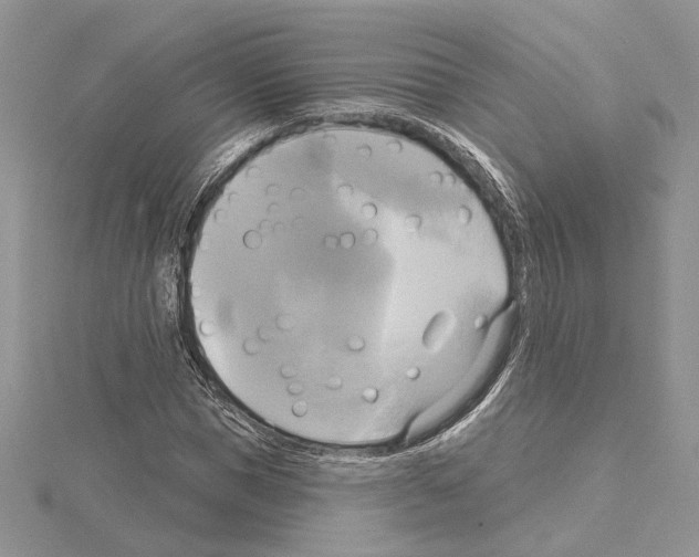 X0000114670921200912021050