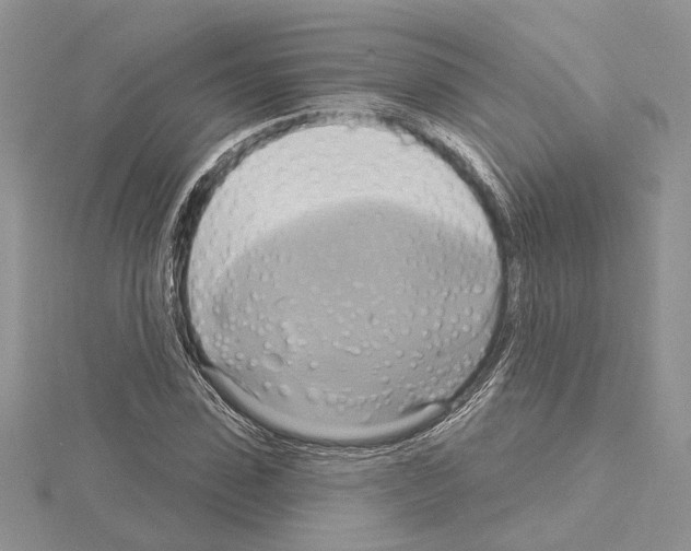 X0000114670923200912021050