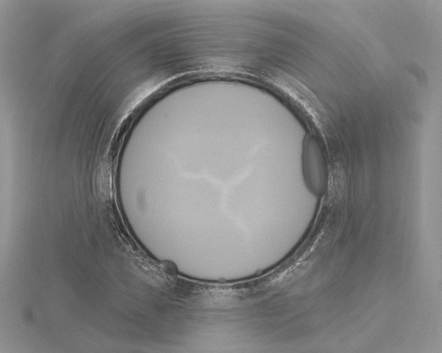 X0000114670925200912021050