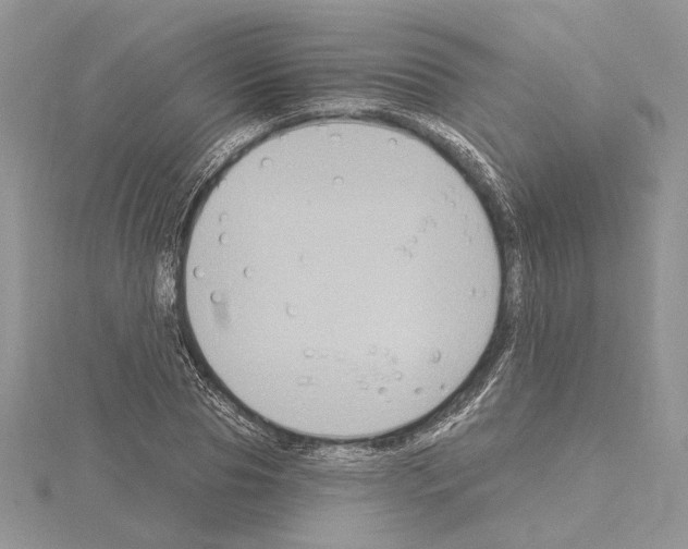 X0000114670929200912021050