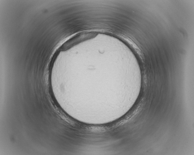 X0000114670933200912021050