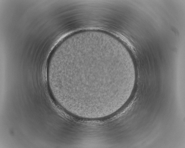 X0000114670934200912021050