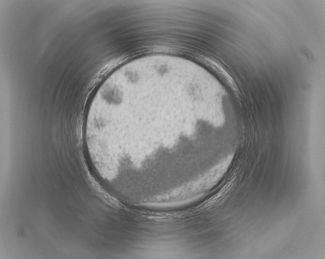 X0000114670938200912021050