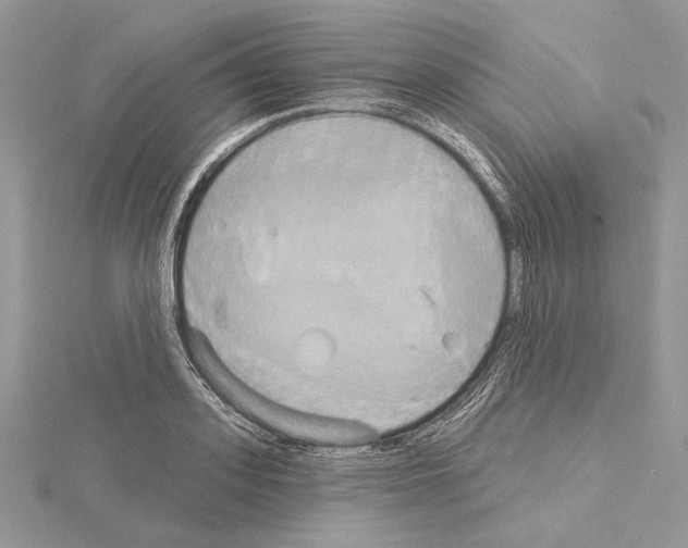 X0000114670939200912021050