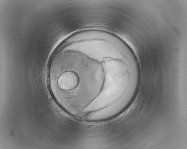 X0000114670941200912021050