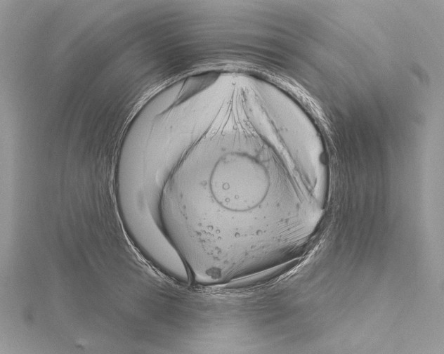 X0000114670945200912021050