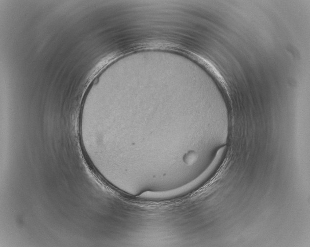 X0000114670946200912021050