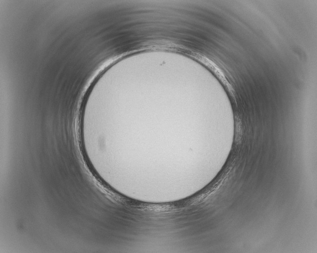 X0000114670947200912021050