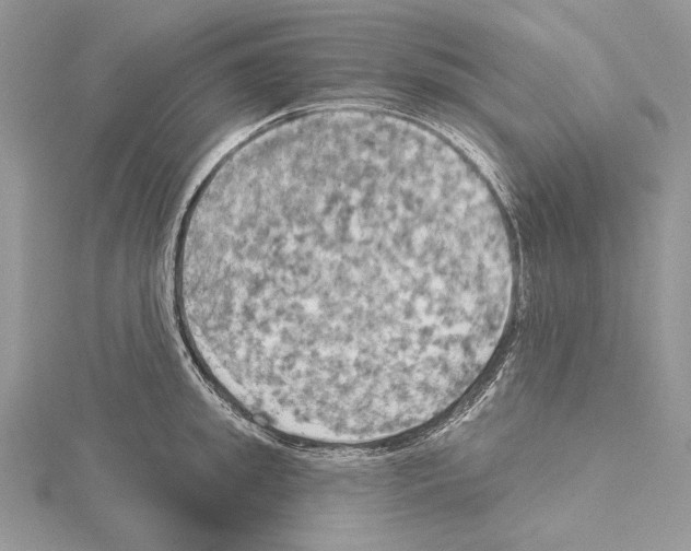 X0000114670949200912021050