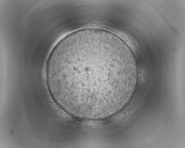 X0000114670950200912021051