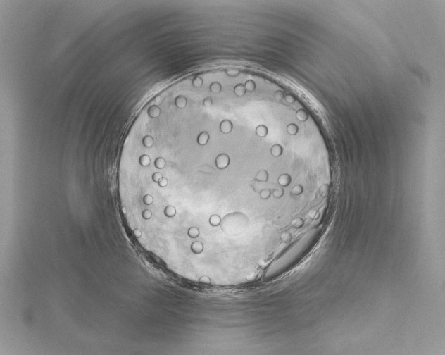 X0000114670953200912021051