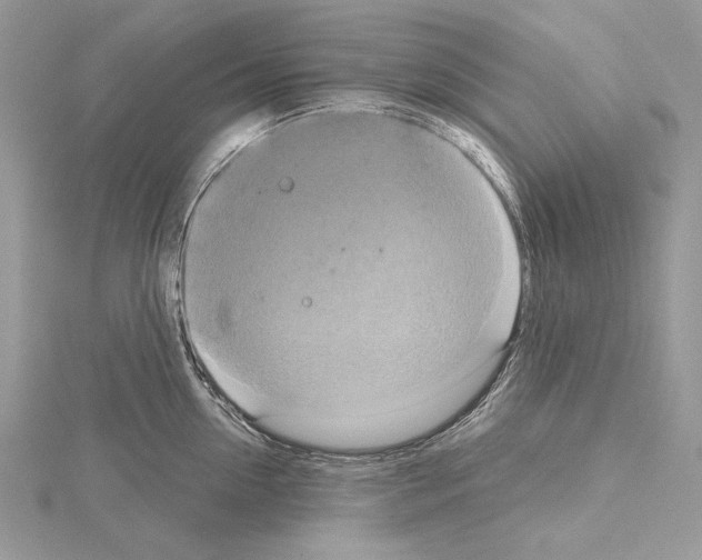 X0000114670954200912021051