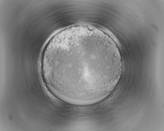 X0000114670955200912021051