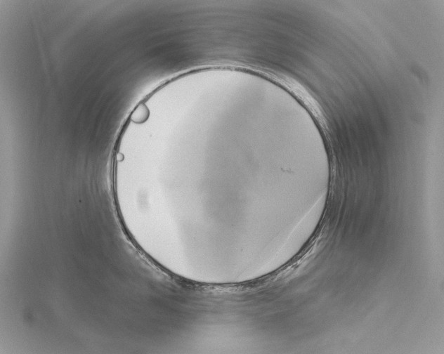 X0000114670958200912021051