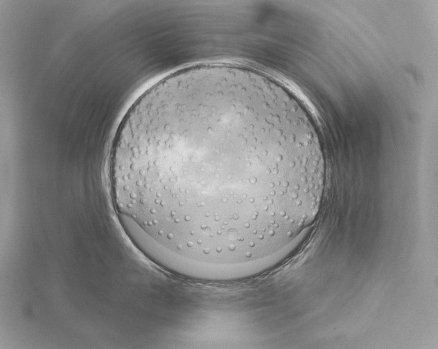 X0000114670959200912021051