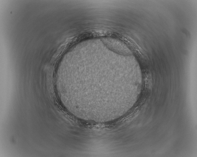 X0000114670961200912021050