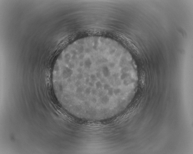 X0000114670964200912021050