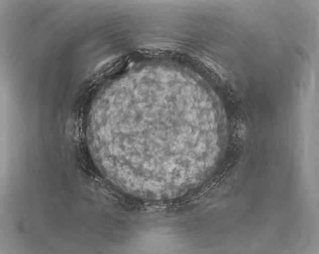 X0000114670965200912021050