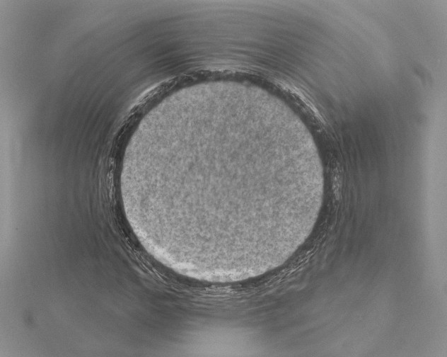 X0000114670968200912021050