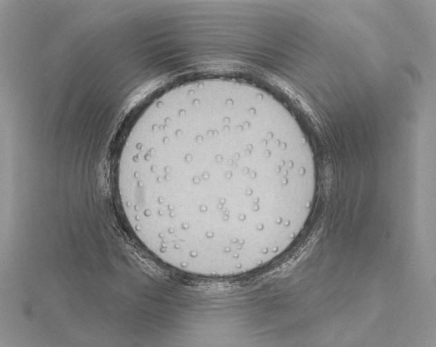 X0000114670970200912021050