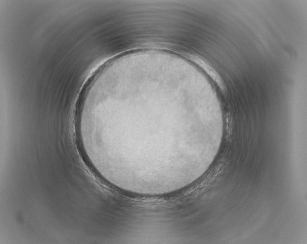 X0000114670972200912021050