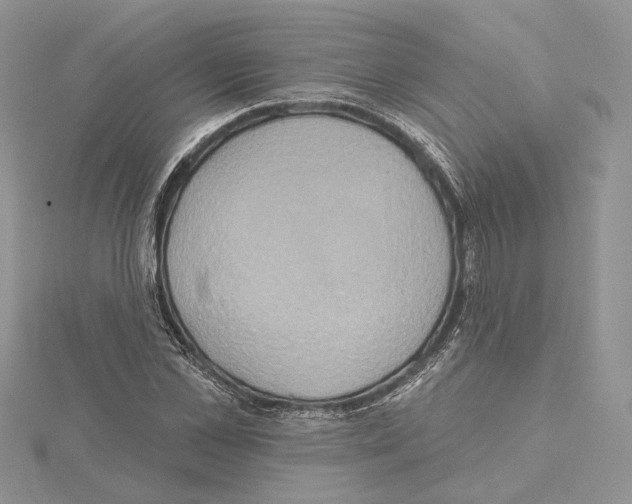 X0000114670973200912021050